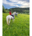 Promenade à cheval